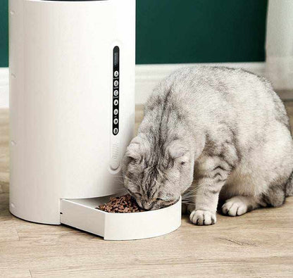 Smart Pet Feeder Pet Supplies Timing