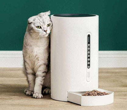 Smart Pet Feeder Pet Supplies Timing